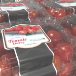 Tomates Cherry empacados Tomates Cherry empacados