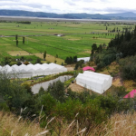 Nuestros campos Nuestros campos